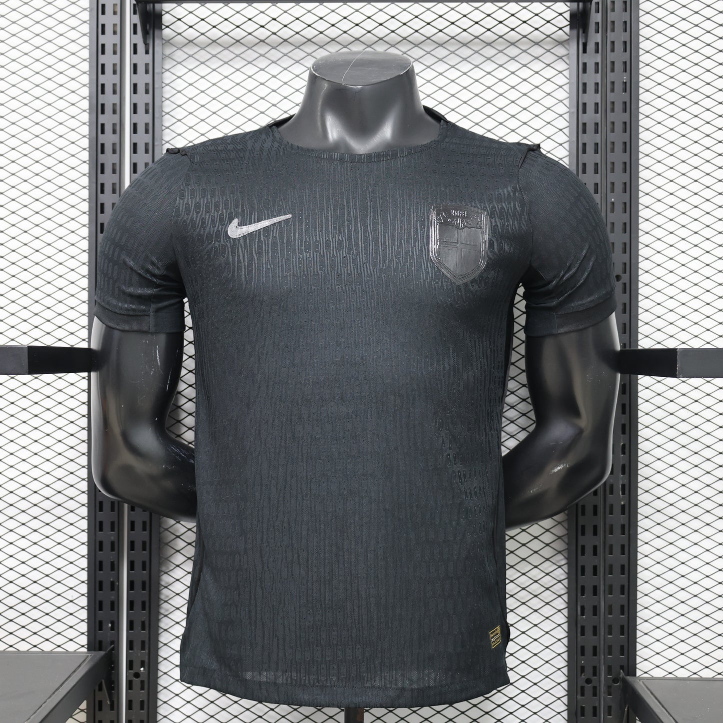 Selección Noruega 2026