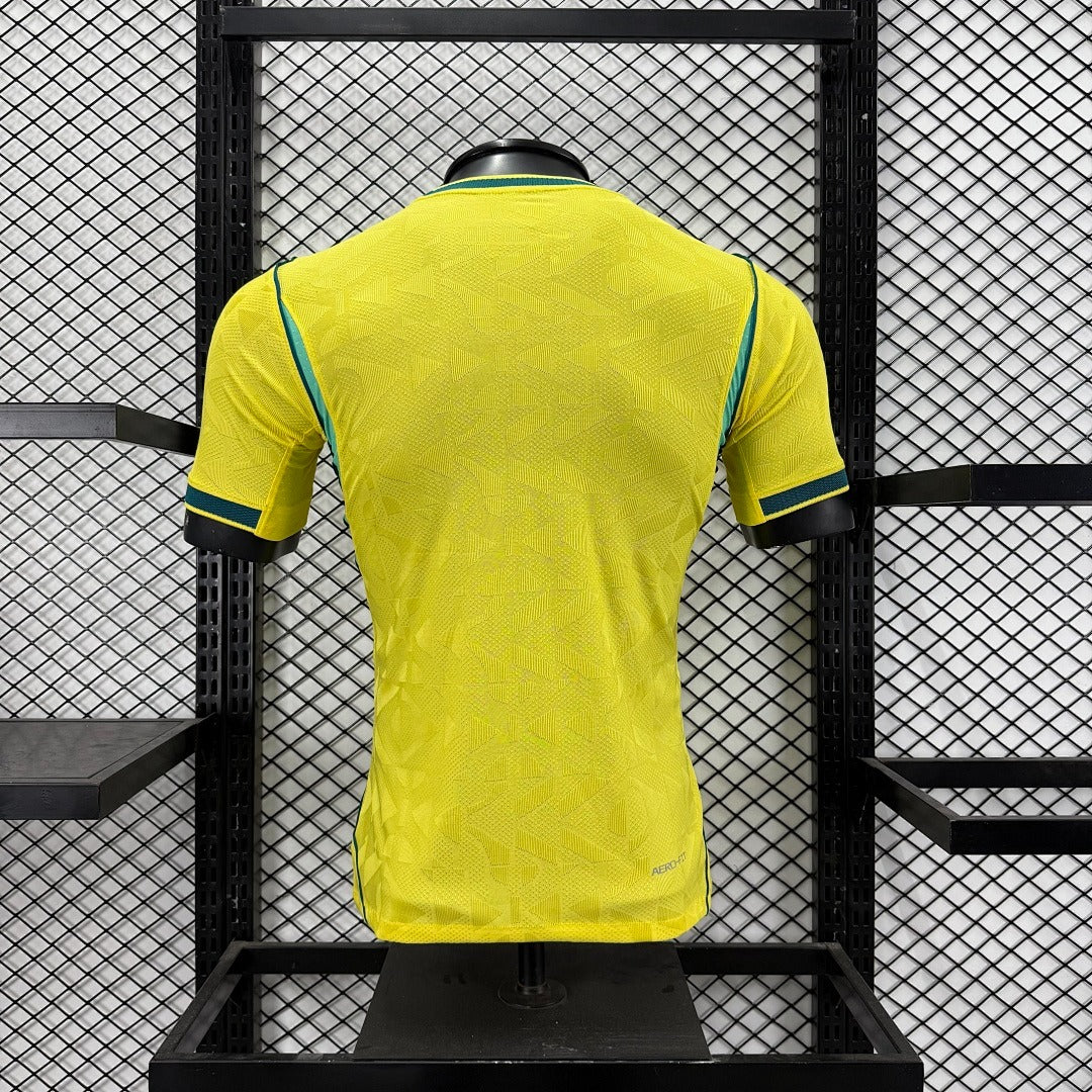 Selección Brasil local 2026