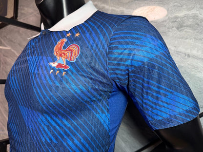 Selección Francia Local 2025
