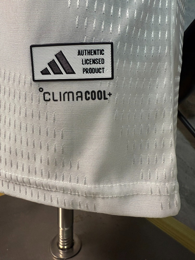 Selección Alemania Local 2025