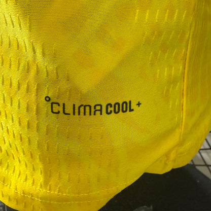 Selección Colombia Local 2025